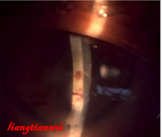 17690455899126098Ygd.png image.png