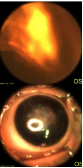 1769045662936386VKQ4.png image.png