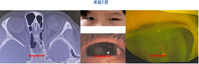 1769045675373329RDU2.png image.png